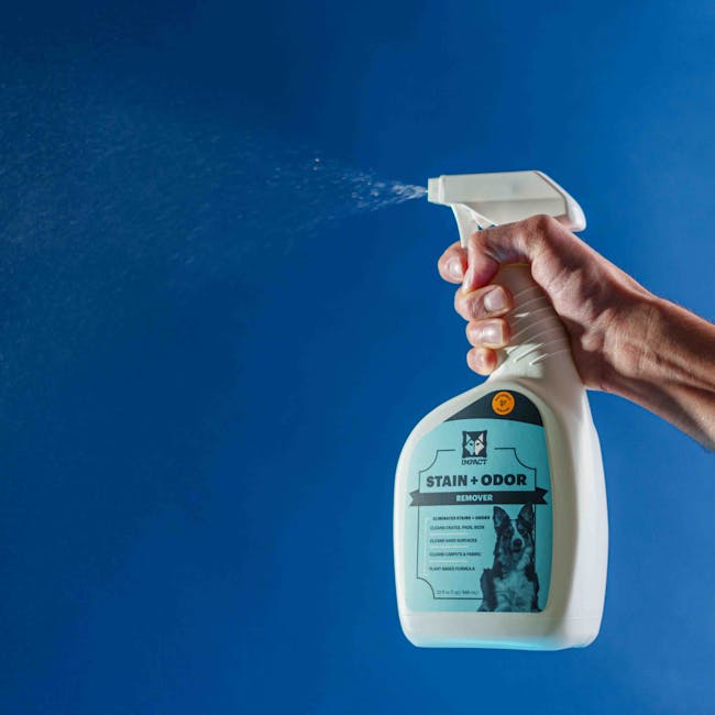 Pet-friendly cleaning products ingredient guide on safe, non-toxic supplies in a home cleaning scene with pets nearby