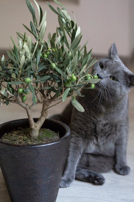 Cat reaching toward a potted plant, illustrating chewing and curiosity risk