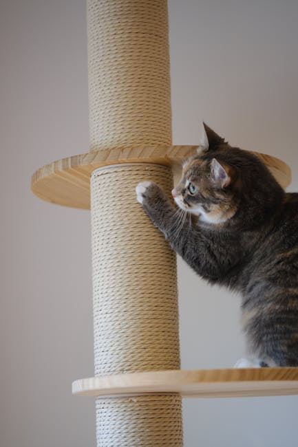 Cat scratching an approved post in a calm home setup for training and habit building