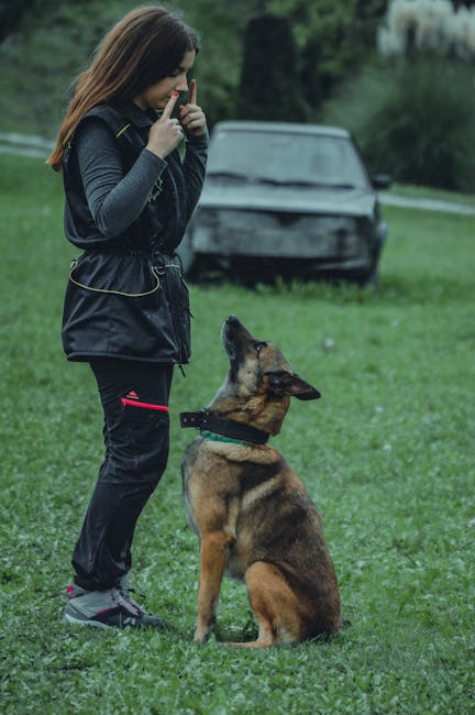 A trainer teaching a cat and a dog different techniques in Cat vs. Dog Training Styles: What Works, What Doesn’t, and Why