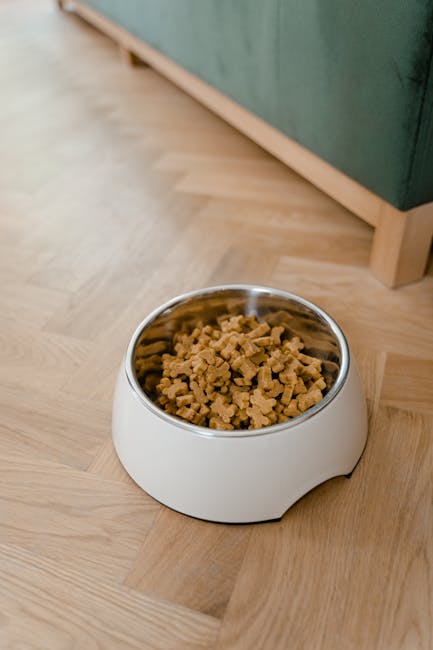 Dog using a raised pet bowl setup, highlighting Choosing the Right Pet Bowl Setup: material, height, hygiene, digestion benefits