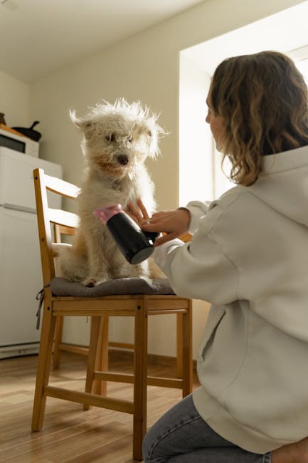 DIY vs. Store-Bought Pet Grooming comparison showing grooming tools, a pet, and cost comfort results.