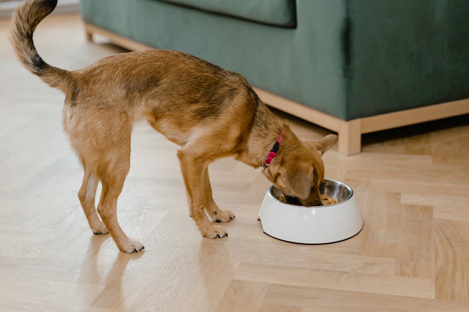 Dog eating a portioned meal from a bowl with measuring cup nearby