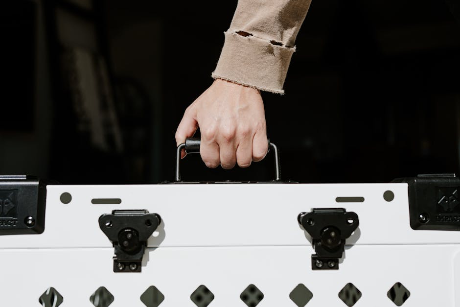 Family preparing a dog carrier and paperwork folder for an evacuation in a car