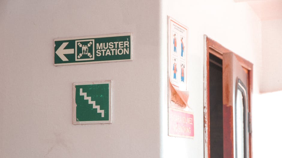 Pet home emergency preparedness supplies, plans, and evacuation tips on a table in a sunny room