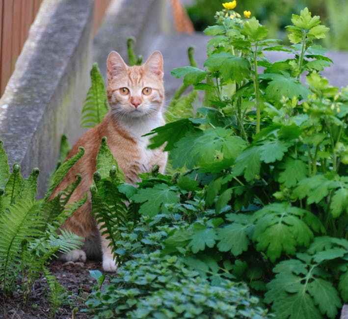 Home Garden Safety for Pets: leafy plants in a home garden, with labels suggesting safer replacements