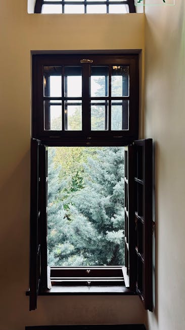 Cleaner uses open windows and moves pets out while applying a cleaner safely