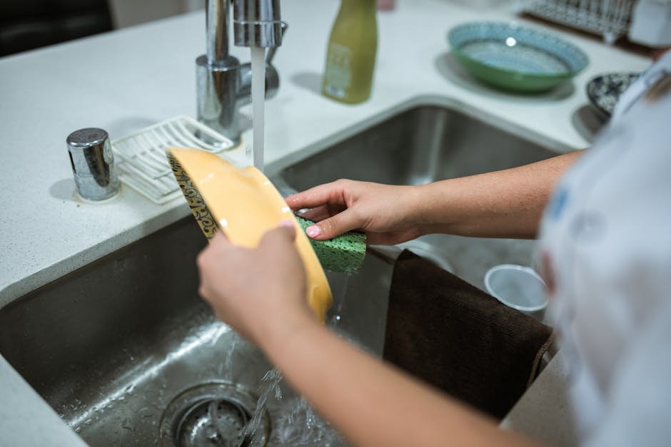 Hand washing a pet food and water bowl with soap and clean sponge