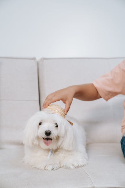 Caregiver holding a worried dog near spilled household cleaner while calling for help