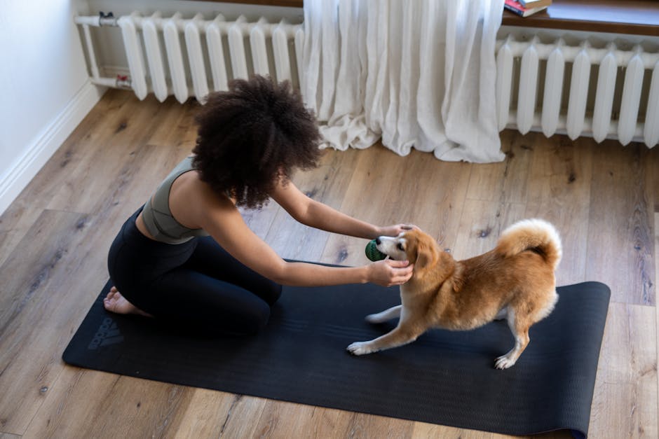 Pet News Roundup image: veterinarians and pets at home, showing latest research and trends shaping animal health and lifestyle.