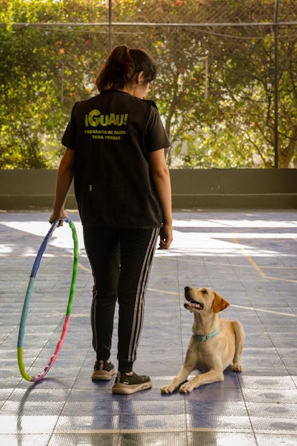 Person supervising a puppy in a safe training setup to match routine and temperament