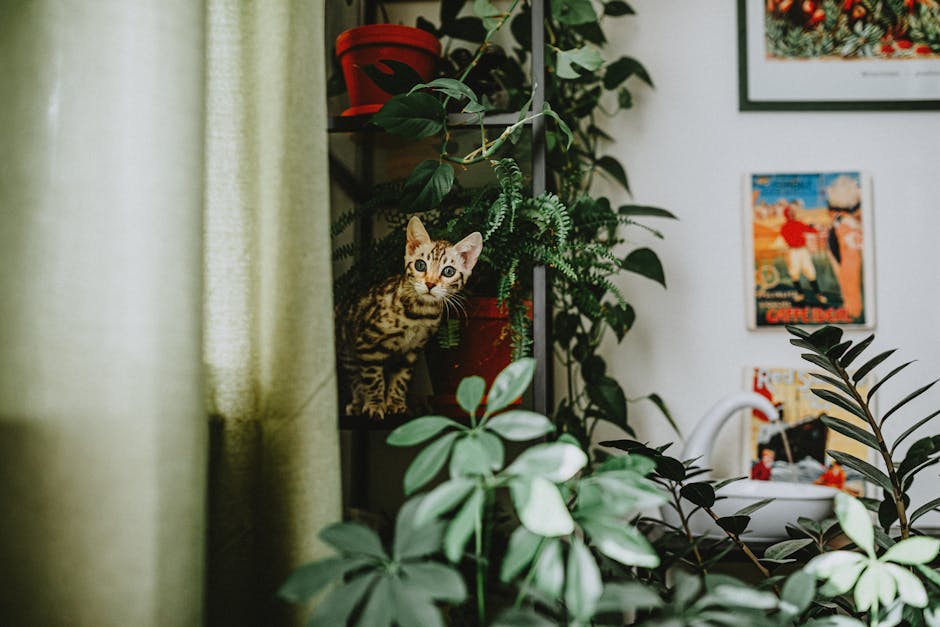Pet-friendly home plants guide: safe picks vs toxic species to avoid, with examples in a cozy indoor setting.