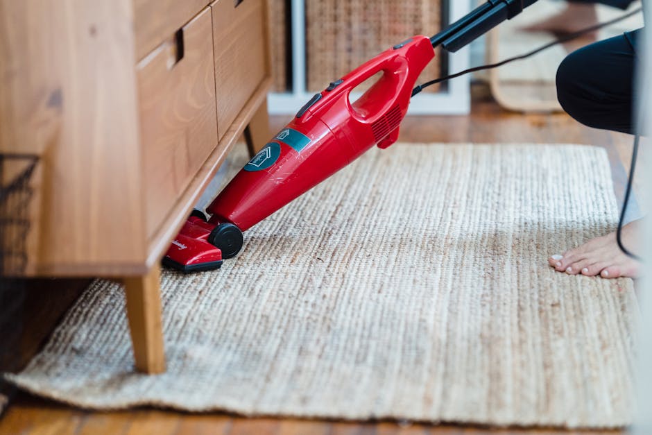 Vacuum cleaner cleaning a living room carpet near a pet resting spot