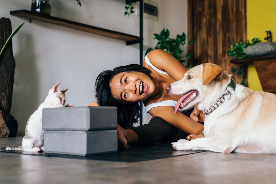 Cat vs. Dog enrichment with interactive toys, showcasing daily activities for mental health and animal wellbeing.