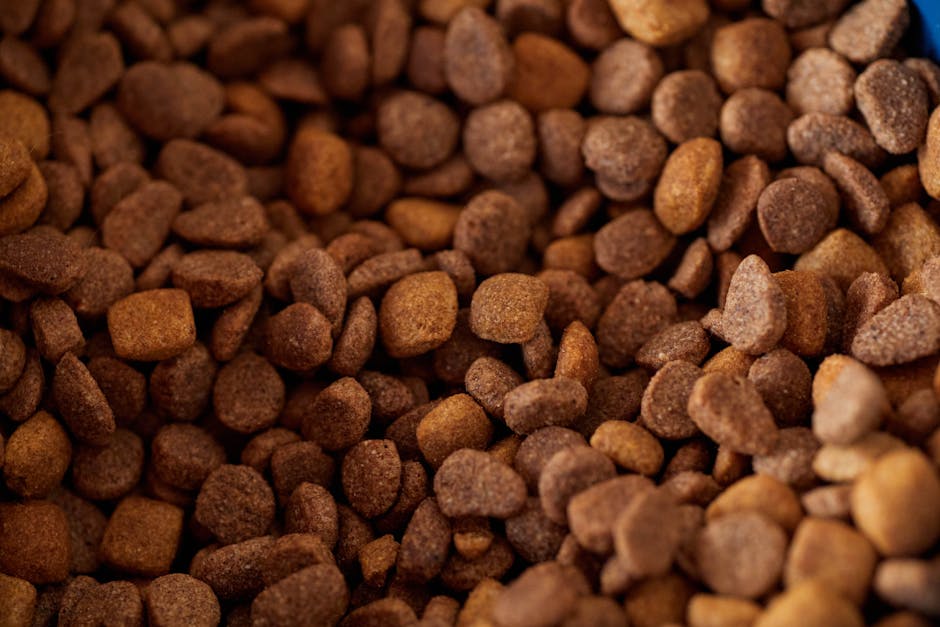 Dog and veterinarian reviewing vet-style nutrition basics, Choosing the Right Diet for Optimal Health for any pet.