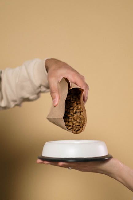 Comparing Pet Diet Types: Dry vs Wet vs Raw—pet food bowls showing health-focused choice tips.