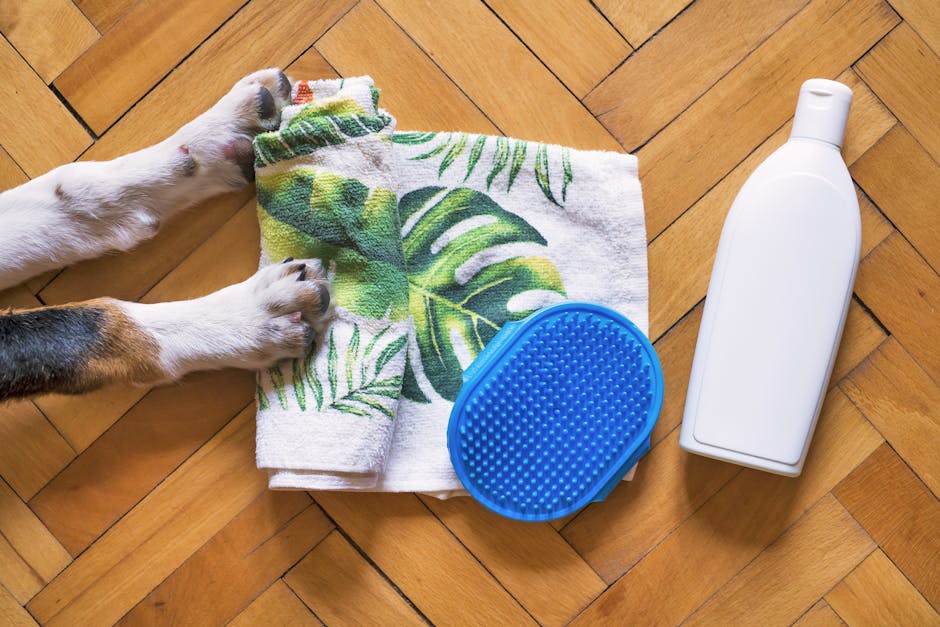 Comparing Pet Grooming Tools: Slickers, brushes, and shampoos on a table, highlighting what to use and when