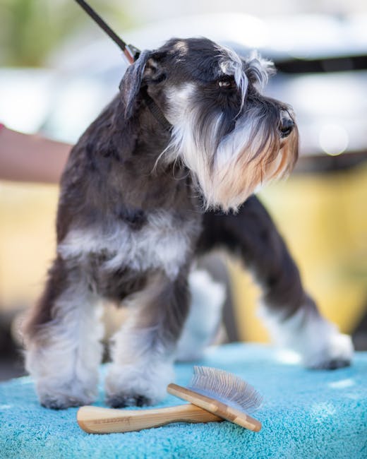 Person gently brushing a dog’s smooth coat with a grooming brush