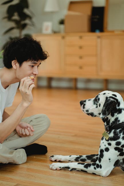 Person using positive reinforcement with treats during dog training outdoors