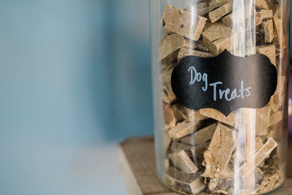 Close-up of labeled airtight container of dry kibble with date marked for rotation