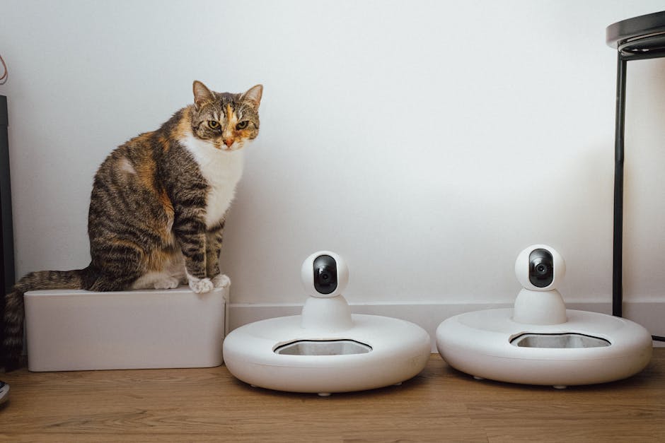 Smart pet-proofing setup with smart deterrents and safer materials—New Pet-Proofing Trends 2026 on monitoring screens.