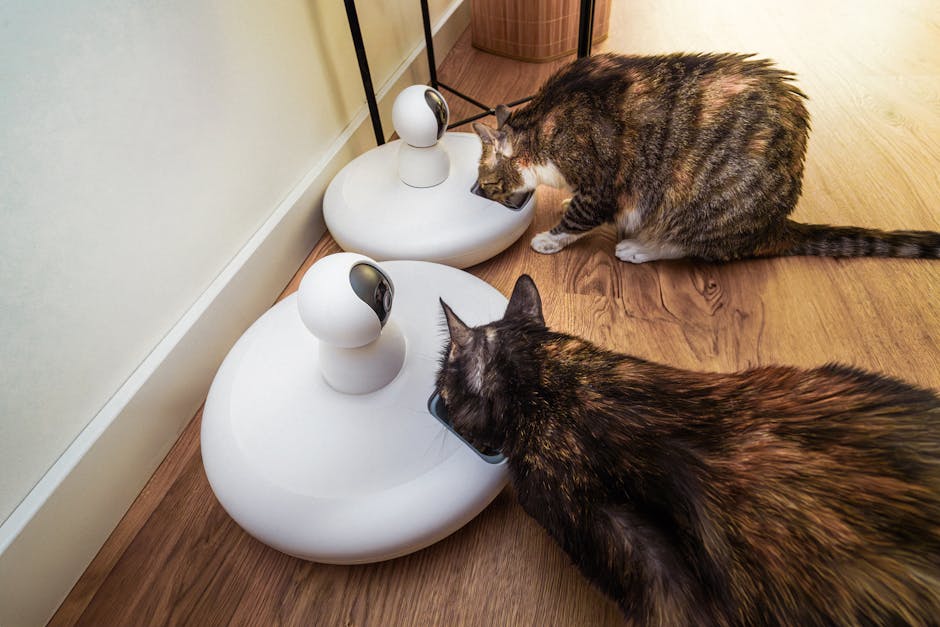 Smart home setup for pet safety, showcasing New Pet-Proofing Trends for 2026 on Pexels.