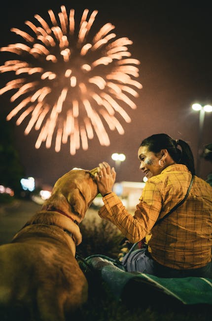 Dog seeking comfort indoors during loud fireworks, noise-proof your life tips for reducing pet stress