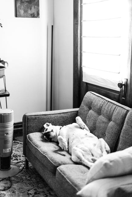 HEPA air purifier in a living room next to a pet bedding setup