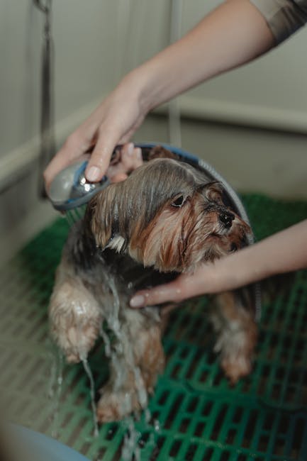 Dog getting bathed in a clean tub with shampoo, showing proper grooming care
