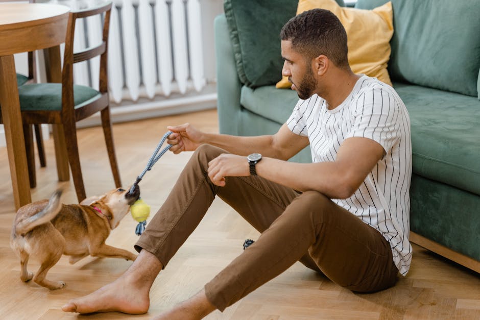 Dog near a wall outlet with protective cord cover installed for pet safety