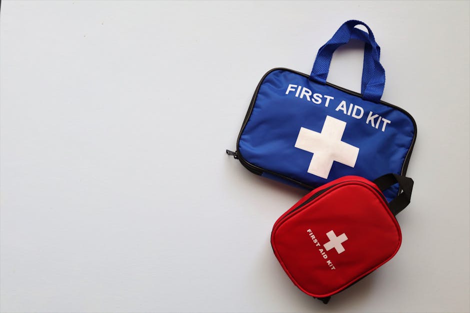 Pet emergency first-aid kit laid out in a bag for quick grab-and-go use
