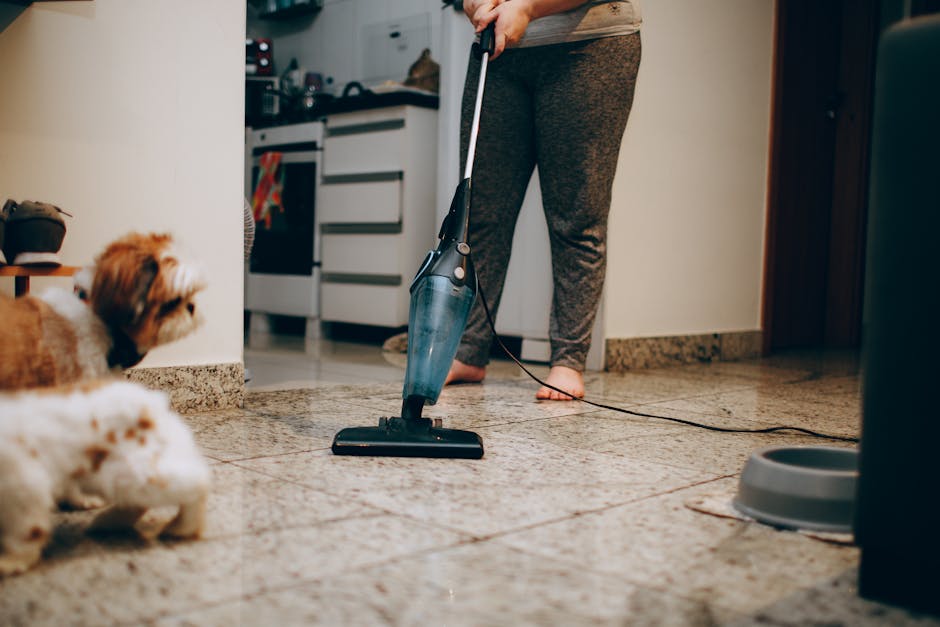 Dog safely kept in another room while a person wipes floors with a damp cloth