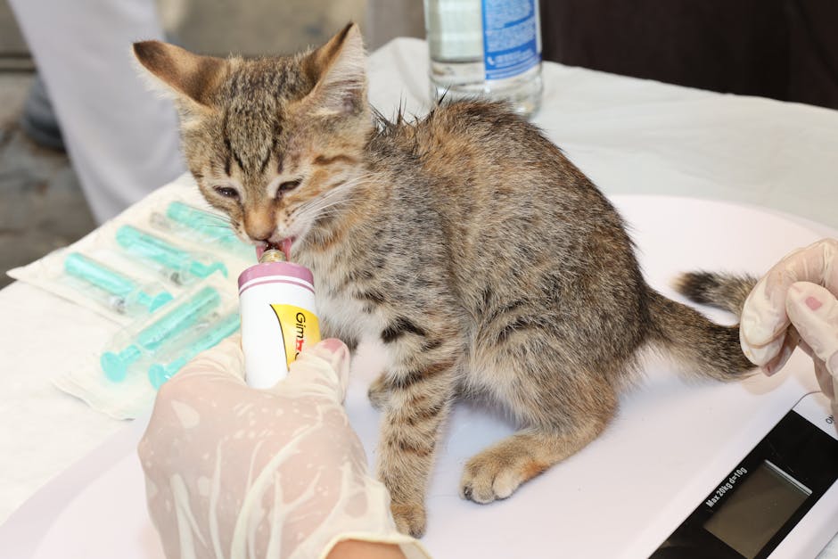 Cat or dog sniffing a spilled medicine bottle on the floor while a person takes notes