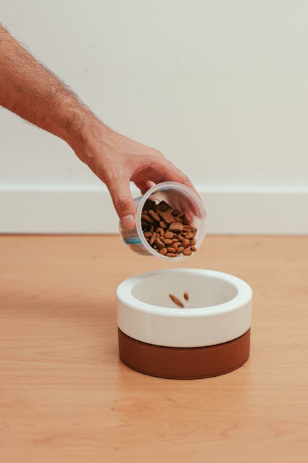 Pet owner measuring kibble and preparing a bowl for their dog at home