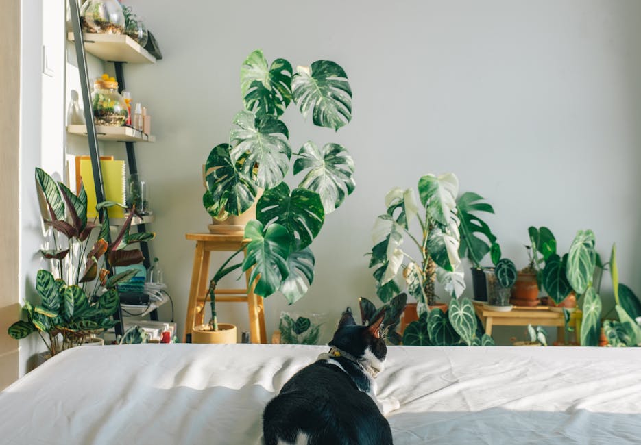 Pet-Safe Plants and Home Decor comparison of toxic vs safe choices in a cozy home setting, from Pexels.
