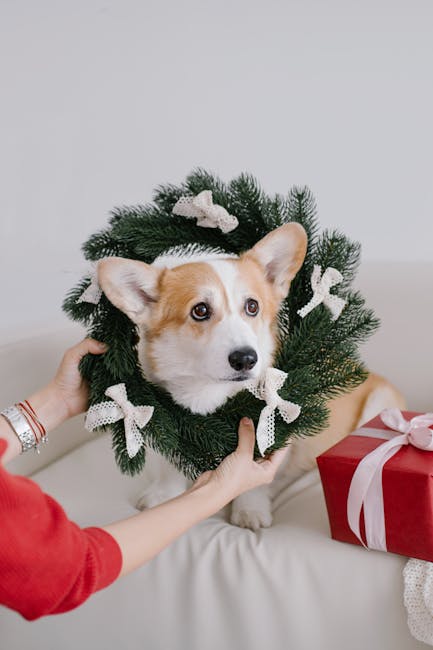 Cat or dog investigating a holiday wreath with seasonal decorations out of reach