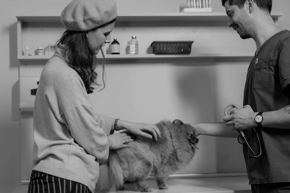 Dog health vet advice image about The Truth About Pet Supplements: What Helps, What’s Risky, and How to Talk to Your Vet