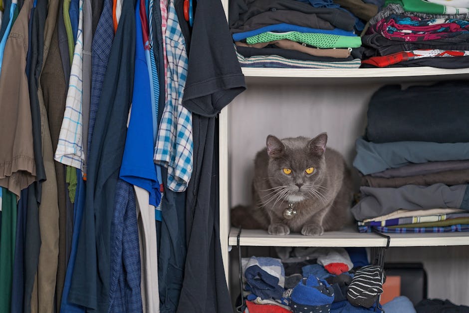 Bright home with pet supplies neatly organized, illustrating “10 Practical Home Organization Tips That Make Life Easier for Pets and People.”
