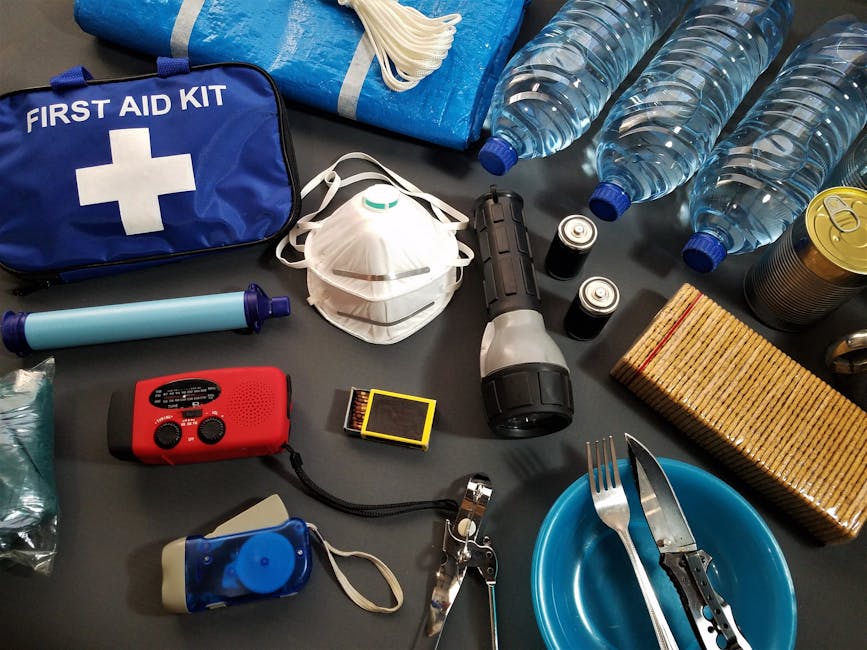 Emergency Preparedness for Pets: A home checklist photo showing first aid supplies, meds, and evacuation plan items