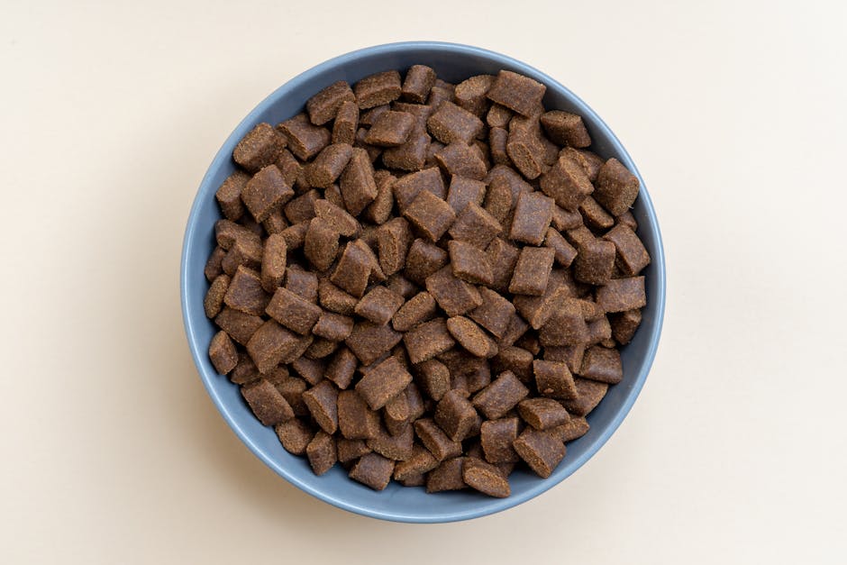 Person reading pet food label with guaranteed analysis and nutrient numbers
